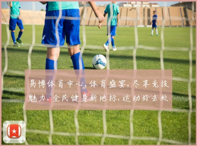 易博体育中心,体育盛宴,尽享竞技魅力,全民健身新地标,运动好去处,一网打尽
