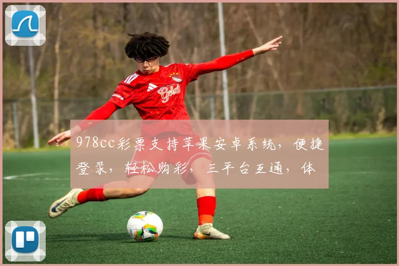 978cc彩票支持苹果安卓系统，便捷登录，轻松购彩，三平台互通，体验无限