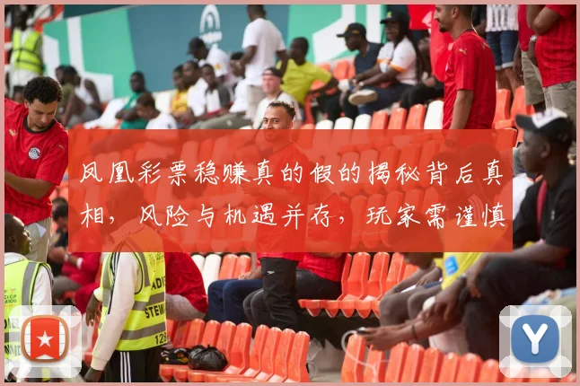 凤凰彩票稳赚真的假的揭秘背后真相，风险与机遇并存，玩家需谨慎对待。
