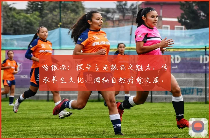 哈银花：探寻古老银花之魅力，传承养生文化，揭秘自然疗愈之道，三味同珍，养心养颜。