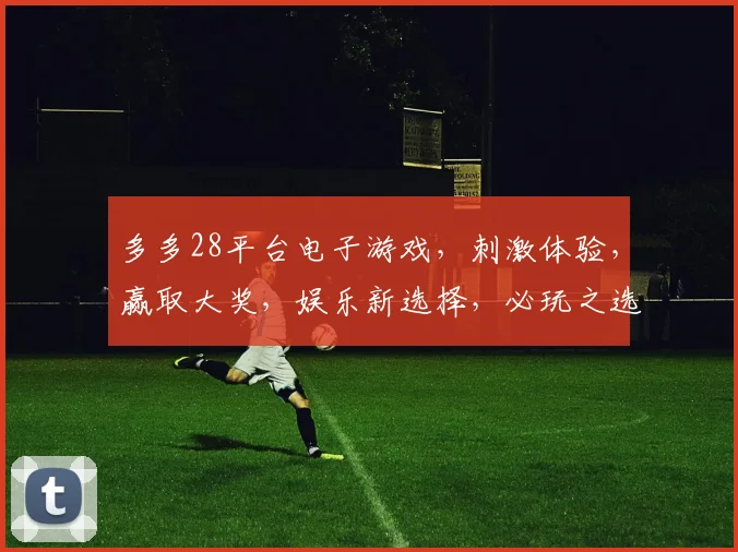 多多28平台电子游戏，刺激体验，赢取大奖，娱乐新选择，必玩之选