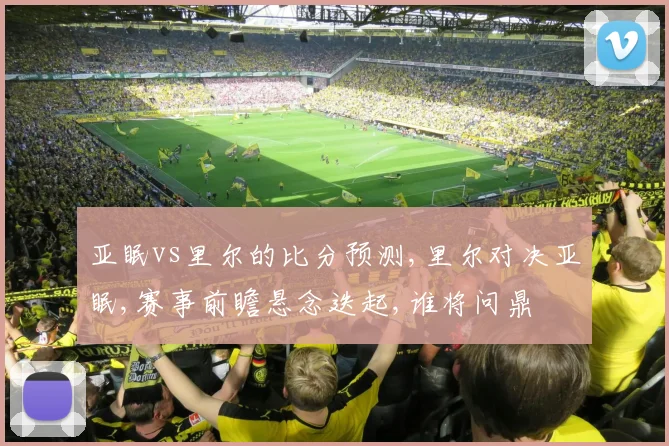 亚眠vs里尔的比分预测,里尔对决亚眠,赛事前瞻悬念迭起,谁将问鼎